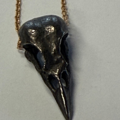 Bird Skull Pendant #13