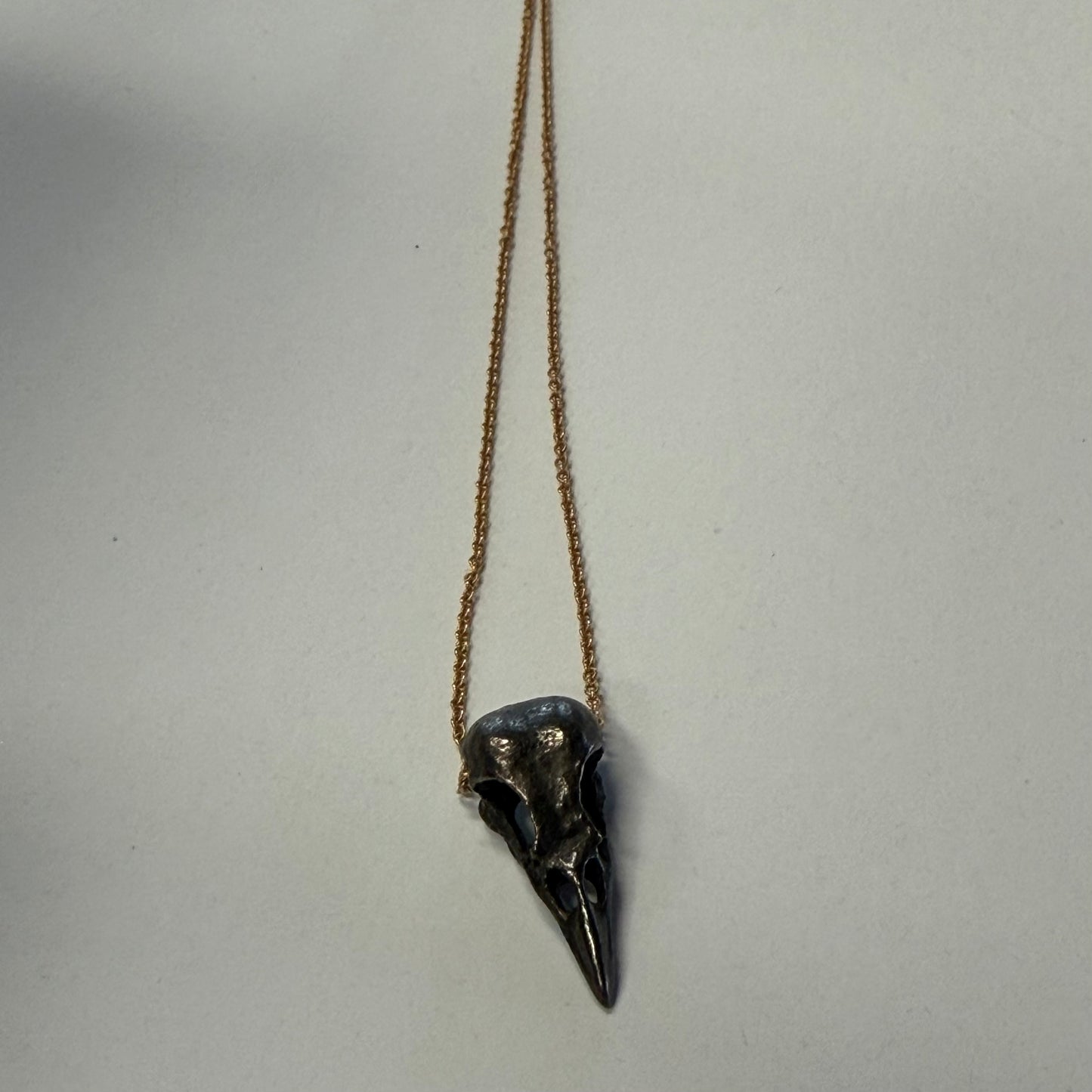 Bird Skull Pendant #13