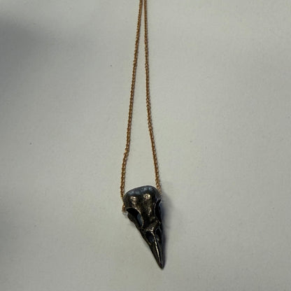 Bird Skull Pendant #13