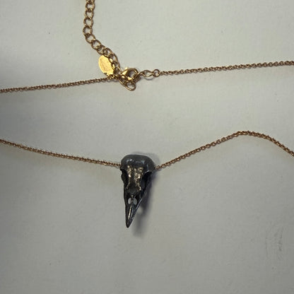 Bird Skull Pendant #13