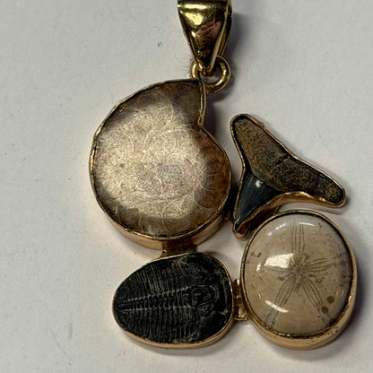 Antique Fossil Pendant