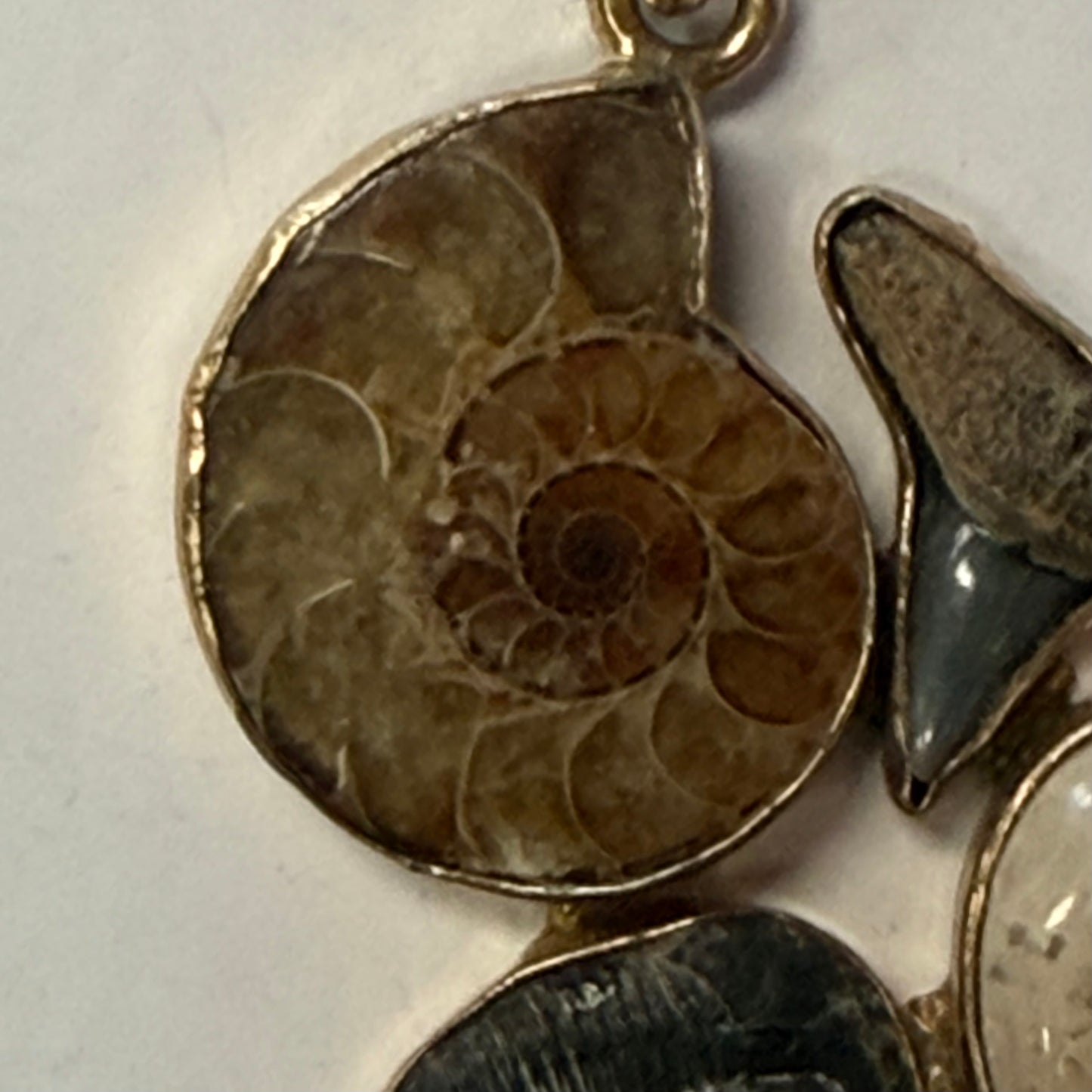 Antique Fossil Pendant