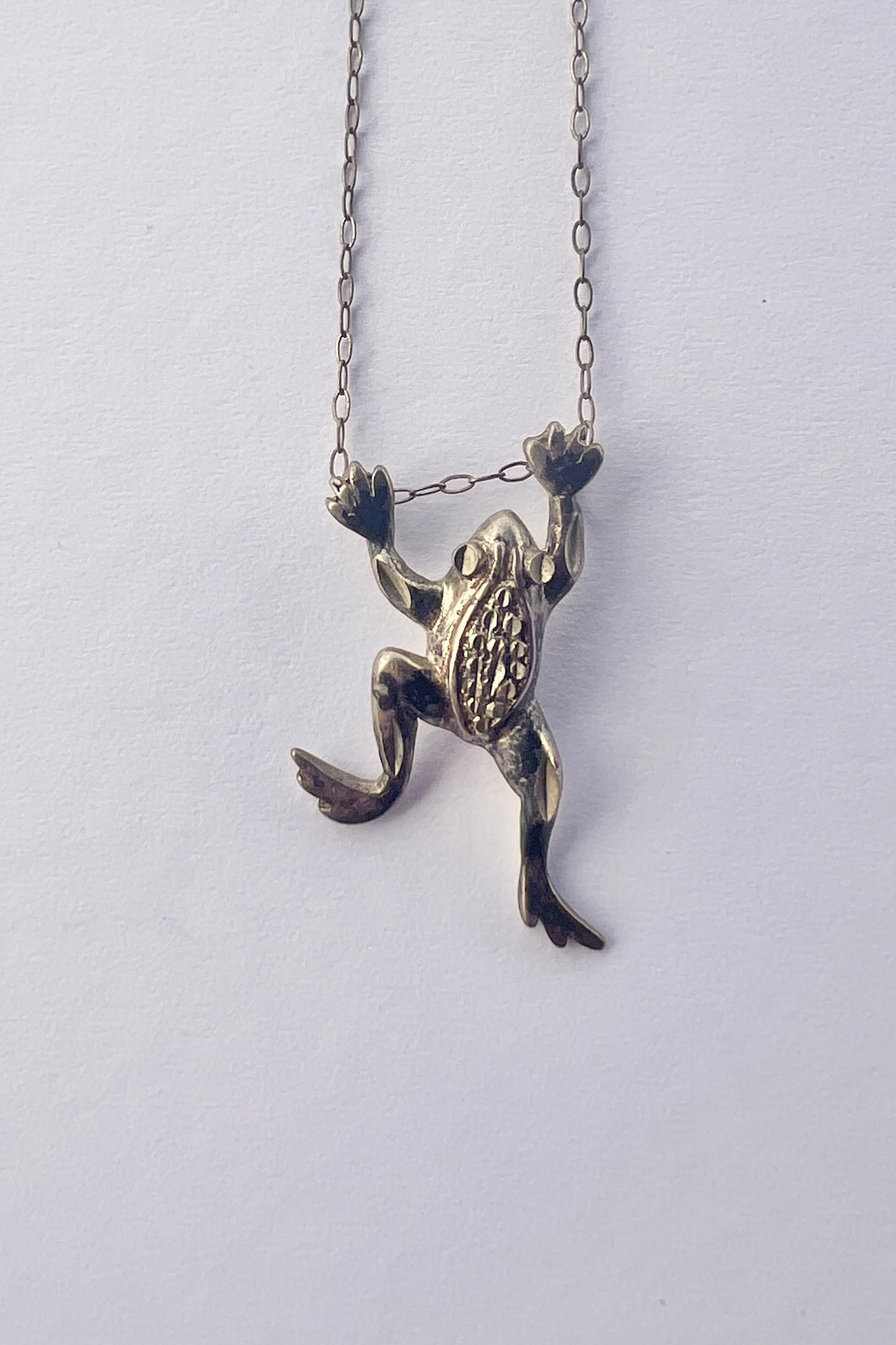 Hanging Frog Pendant #15