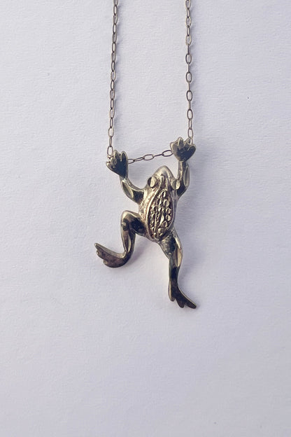 Hanging Frog Pendant #15