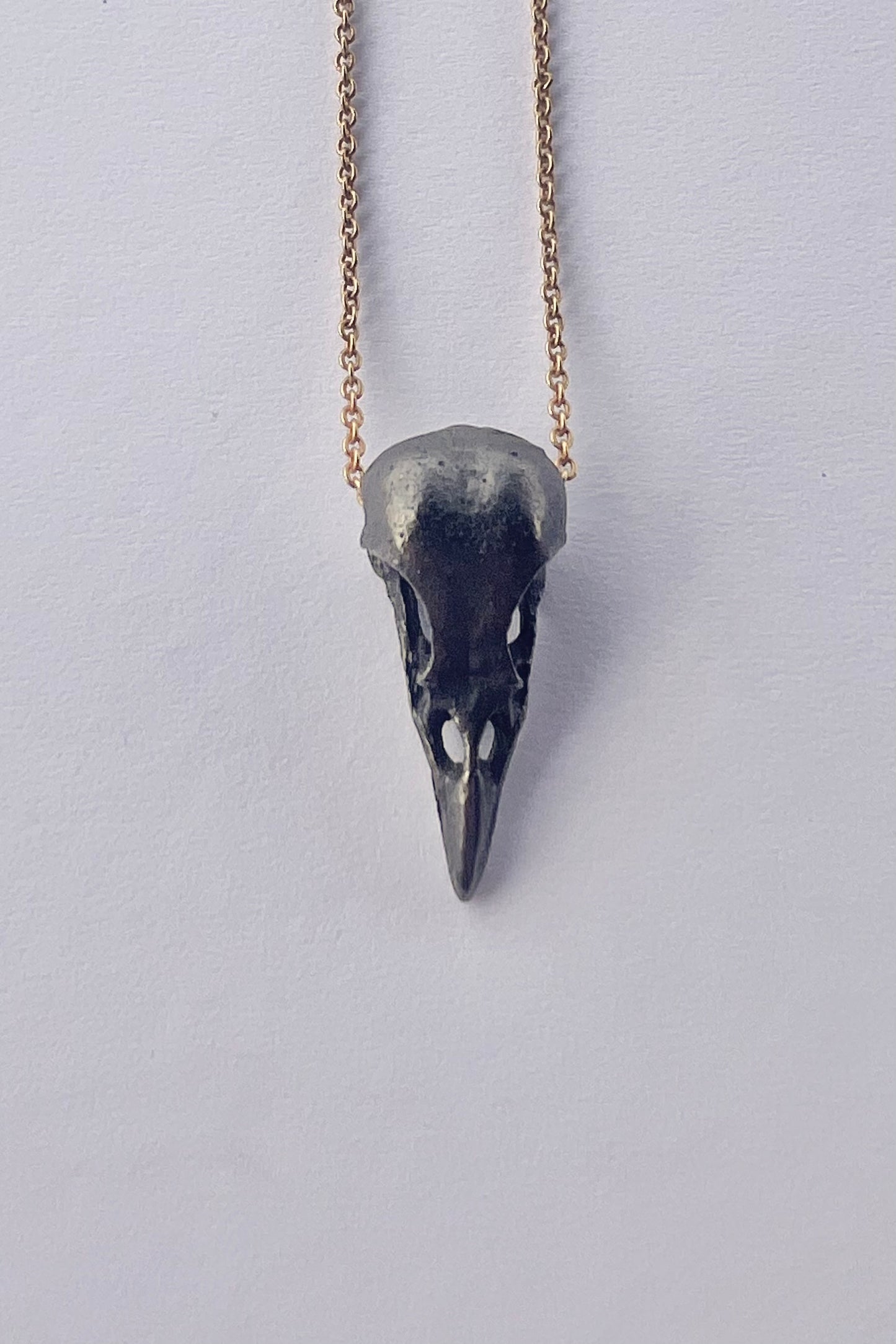 Bird Skull Pendant #13
